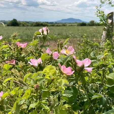 Koerte Porta Appartement *
