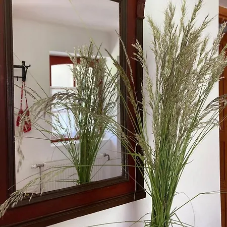 Appartement Koerte Porta