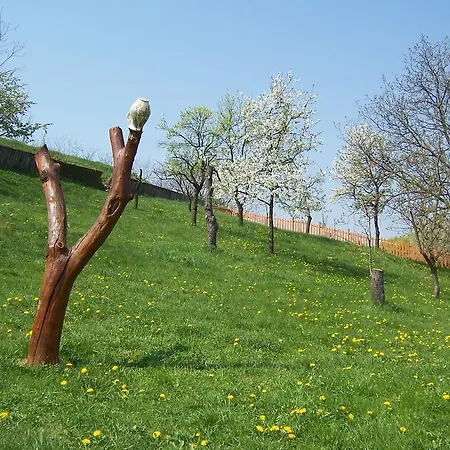 Körte Porta