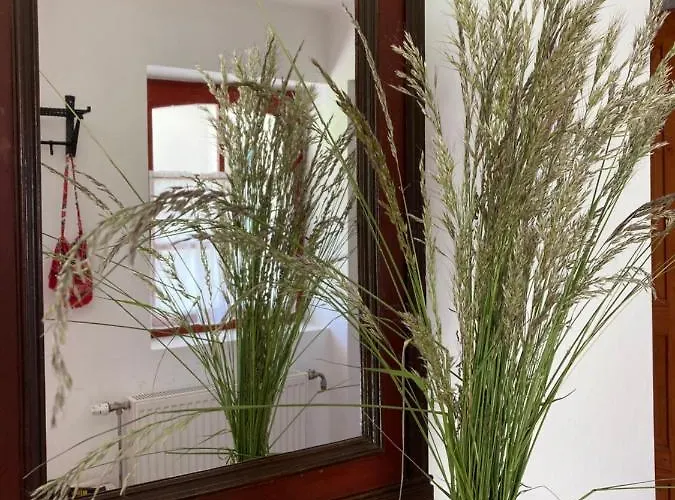 Διαμέρισμα Koerte Porta