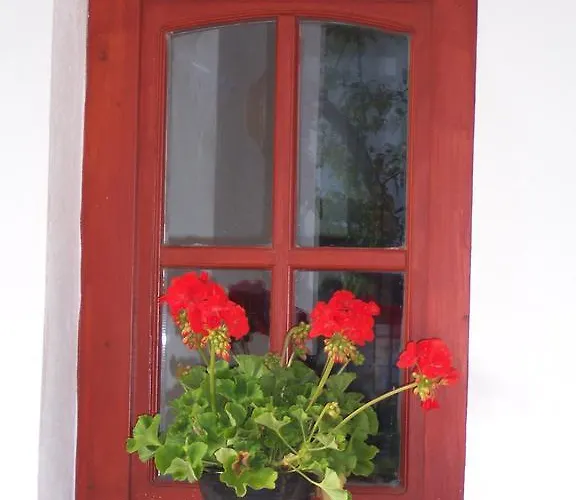 Koerte Porta