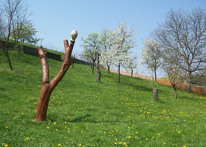 Koerte Porta